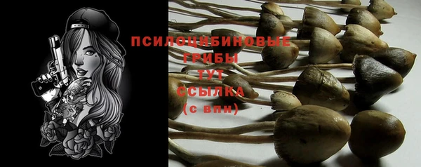 apvp Володарск