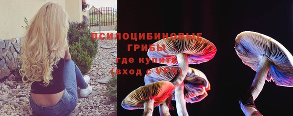 apvp Володарск