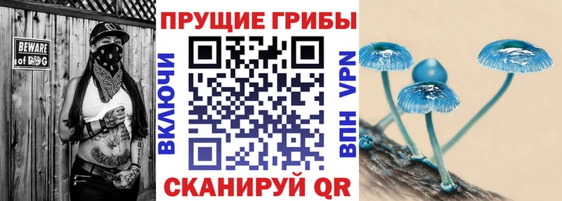 Галлюциногенные грибы MAGIC MUSHROOMS Выкса